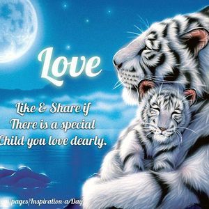 Meet your Posher, Jeri